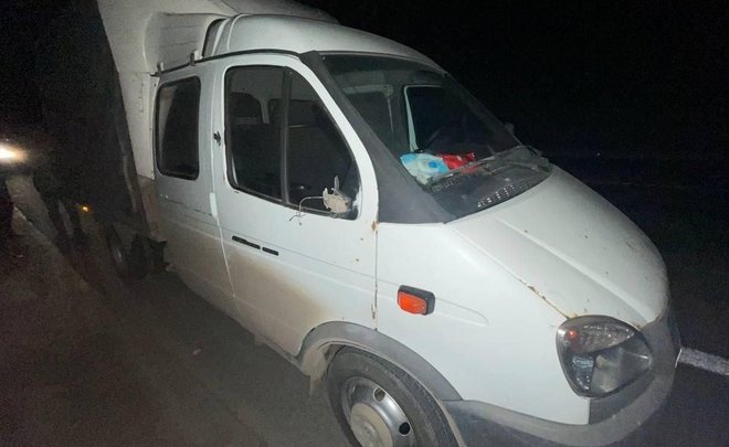 В Елабужском районе Татарстана с разницей в 4 часа насмерть задавили двух пешеходов