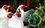 Китай запретил ввоз мяса птицы из Татарстана из-за птичьего гриппа