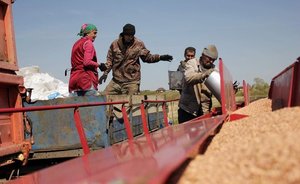 Татарстан получит более 500 млн рублей на создание и модернизацию объектов агропромышленного комплекса