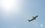 «Новая газета»: об угрозе в самолете, на котором летел Протасевич, сообщили белорусские диспетчеры