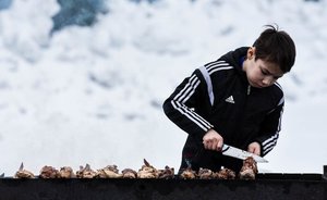 Набор для приготовления шашлыка обойдется россиянам почти в 2 тыс. рублей