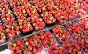 Стоимость клубники на рынках Казани в два раза выше, чем в Краснодаре и Волгограде