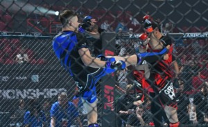 Финальные поединки чемпионата и первенства Европы по ММА в Казани смогут посетить 3 тыс. человек