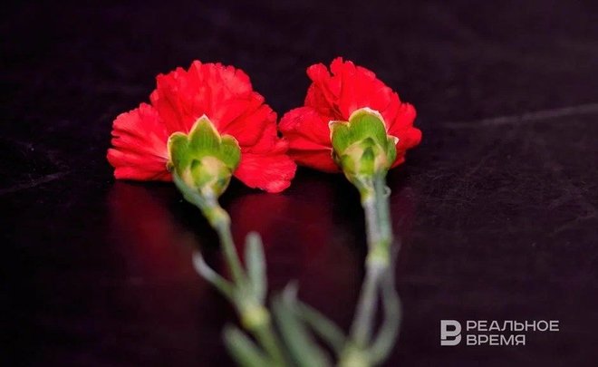 Количество погибших в результате землетрясений в Японии выросло до 65