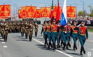 ТНВ анонсировал программу передач на 24 июня