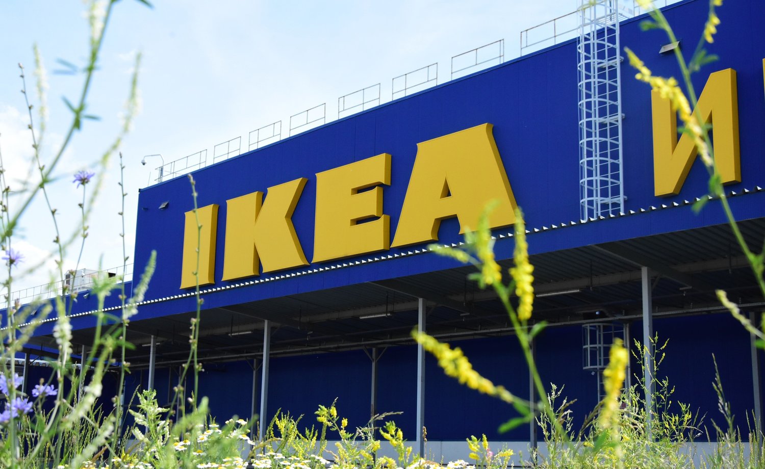 IKEA сняла ограничения по времени на сайте — Реальное время