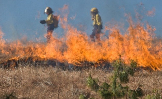 В 11 районах РТ и Казани сохранится высокая пожарная опасность лесов