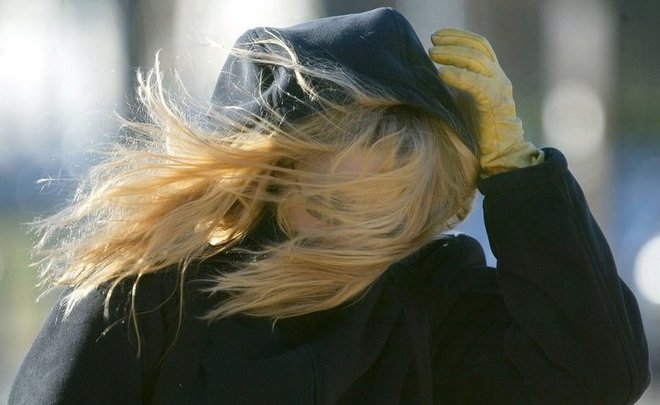 МЧС Татарстана предупредило о порывистом ветре до 17 м/с