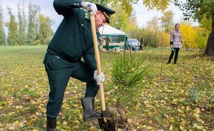 День работников леса обойдется бюджету Татарстана в 6 миллионов рублей