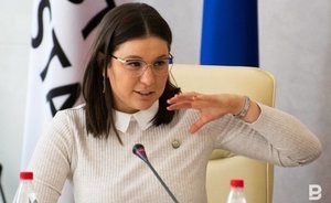 Минуллина: в схеме ГЧП больше рисков, чем пользы