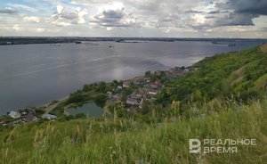 Большинство россиян этим летом хотя бы раз отдыхали на природе