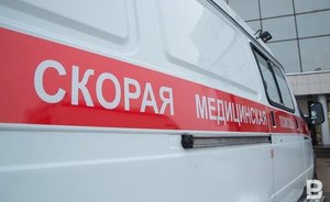В Балтасях в результате инцидента с лошадью пострадал 15-летний подросток