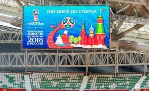 Минспорта РФ заключило мировые соглашения с двумя застройщиками стадионов к ЧМ-2018