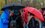 Синоптики пообещали жителям Татарстана дождливые выходные