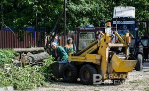 В Татарстане реализовано древесины на 50,8 млн рублей