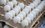 В Татарстане выросло производство яиц