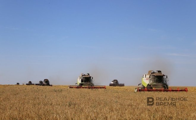 В первой декаде сентября в Татарстане наблюдалась «почвенная засуха»