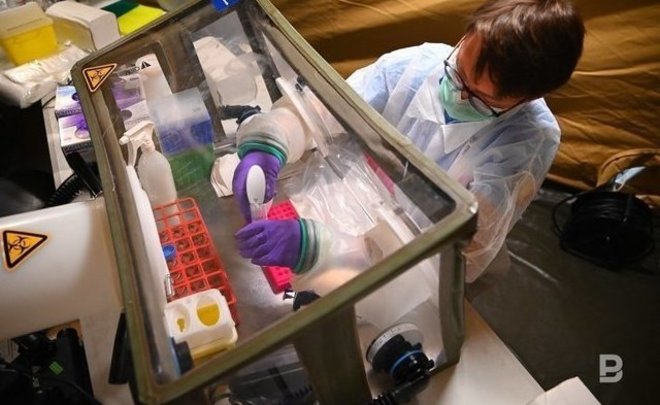 В Японии разрабатывают вакцину, дающую пожизненный иммунитет от COVID-19