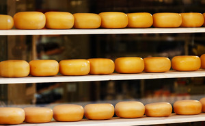 Сыр в магазинах Казани подешевел на 10%