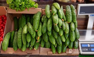 Официальная статистика: в Татарстане за неделю подешевели огурцы, бананы и соль