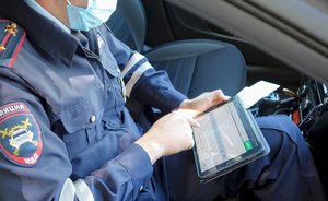 В Казани в 2021 году сбили 450 пешеходов