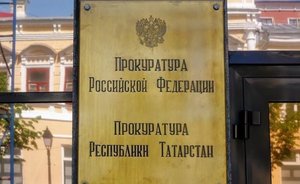 Прокуратура Татарстана: в МВД незаконно отказались возбуждать дело после нападения собаки на школьницу