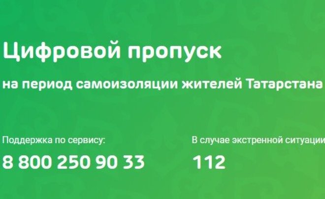 Более 65 тысяч татарстанцев зарегистрировались в системе выдачи цифровых пропусков