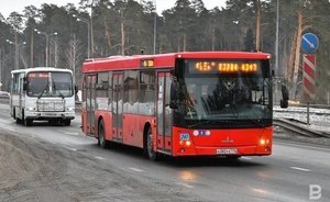 Жители казанского поселка Чебакса просят увеличить количество рейсов пригородного автобуса — видео