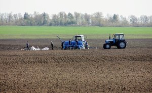 В Гидрометцентре России заявили, что погода в этом году благоприятная для посевов сельхозкультур