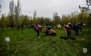 Татарстанцев предупредили о сильном дожде и ветре в четверг
