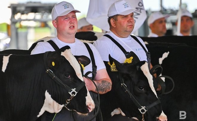 Из Татарстана экспортировали свыше 163 тысяч тонн животноводческой продукции