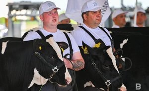 Из Татарстана экспортировали свыше 163 тысяч тонн животноводческой продукции