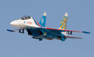 В США разбился российский истребитель Су-27