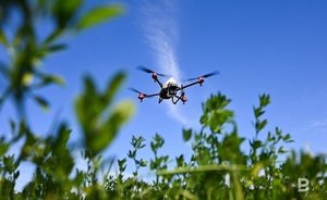 Губернатор Курской области: «Украинский беспилотник атаковал административное здание»