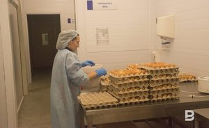 В Татарстане в преддверии Пасхи зафиксировано снижение цен на куриные яйца