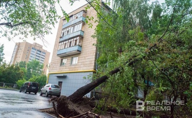 Татарстанцев предупредили о сильном ветре ночью и днем 31 августа