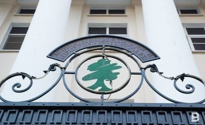 В Минэкологии рассказали о заморе рыбы в Тукаевском районе Татарстана