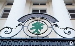 В Минэкологии рассказали о заморе рыбы в Тукаевском районе Татарстана