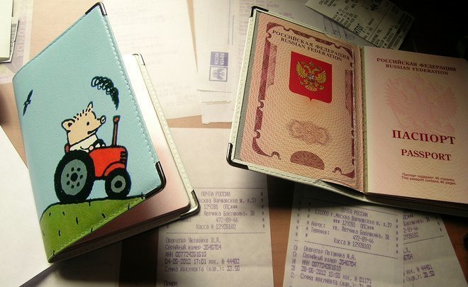 Выдача загранпаспортов в Татарстане выросла почти на треть