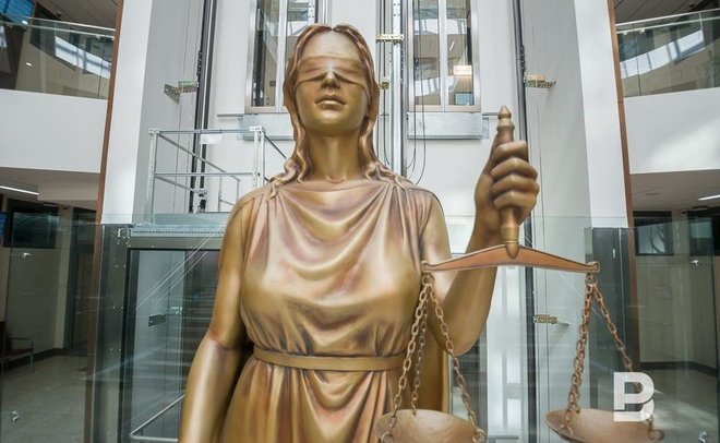 В Татарстане суд направил на принудительное лечение напавшую на сыновей с ножом женщину