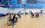 «Крылья Барса» выиграли домашний турнир по парабаскетболу