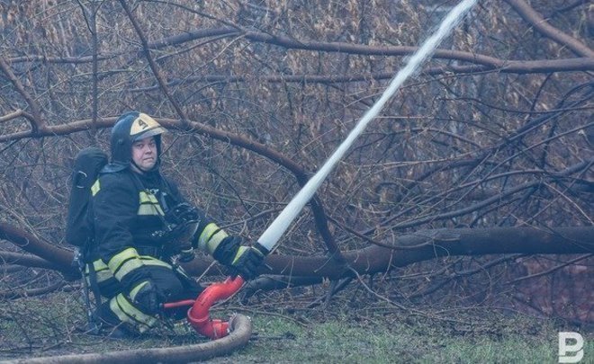 В России за сутки потушили 95 природных пожаров