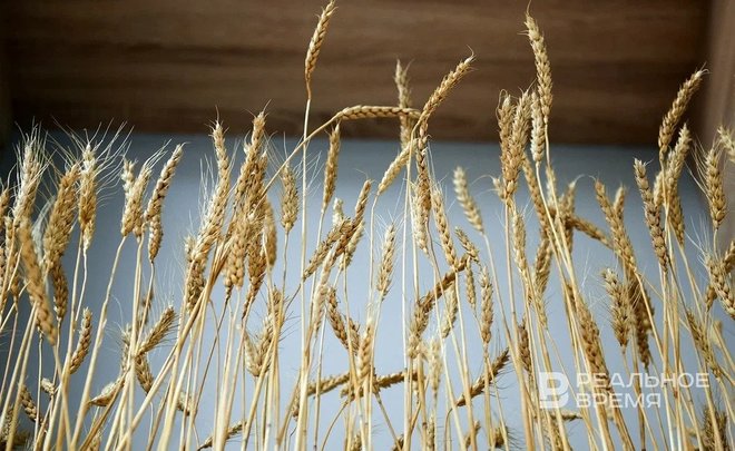 Генсек ООН не увидел смысла в восстановлении зерновой сделки