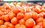 Россельхознадзор частично снимает запрет на поставку томатов из Азербайджана