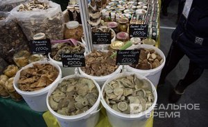 В Татарстане сократилось число отравлений грибами