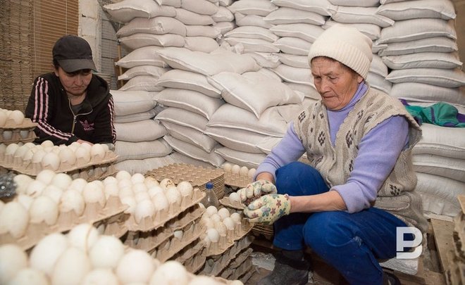 В Татарстане увеличилось производство яиц