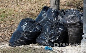 В Казани после вмешательства экологов ликвидировали свалку площадью 320 «квадратов»