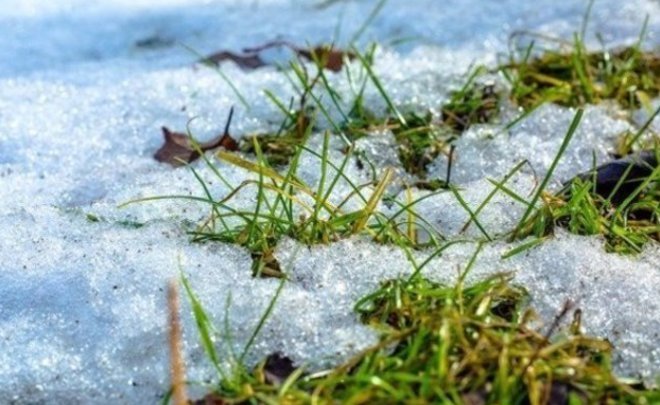 В Татарстане объявлено штормовое предупреждение из-за ночных заморозков