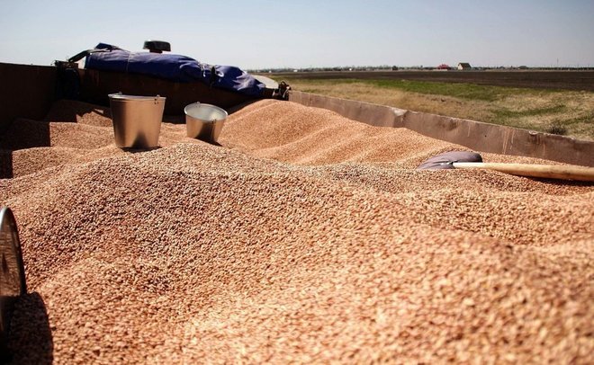 В Татарстане уборка зерновых культур выполнена почти на 90%