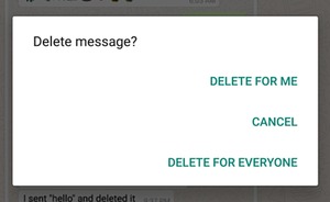 WhatsApp добавил функцию полного удаления сообщений